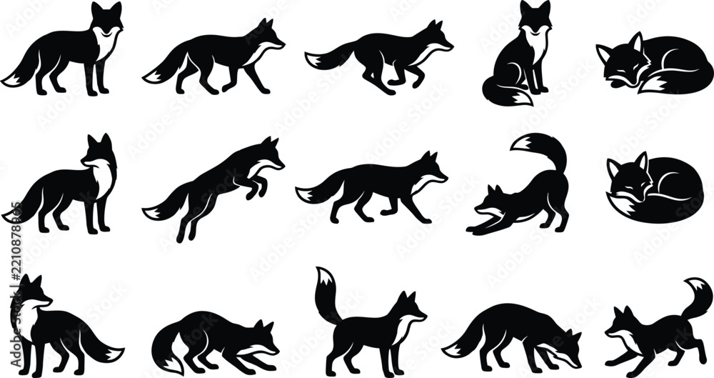 Obraz premium Fifteen black fox silhouettes in diverse poses such as walking, jumping, sitting, and sleeping, isolated on a clean white background