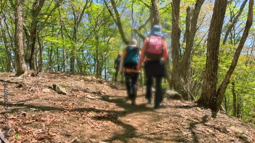 新緑の山道をリュックを背負ってハイキングする登山客の後ろ姿