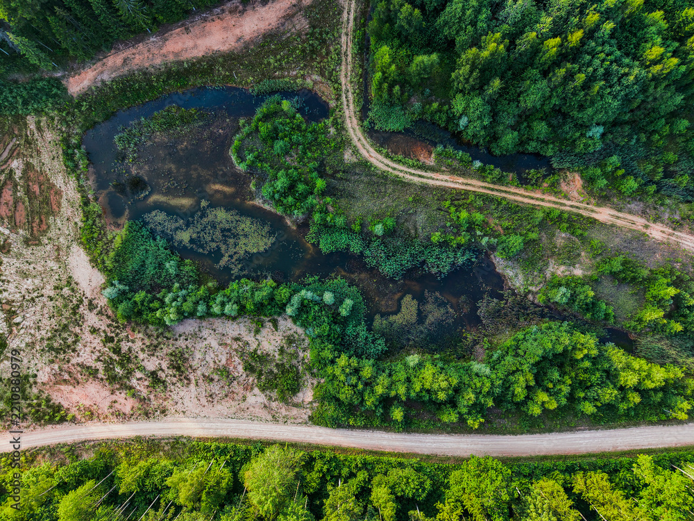 Fototapeta premium Aerial view of lush green forest with winding dirt road. Small water bodies reflect sunlight amid dense trees. Bare earth contrasts with vibrant foliage. Bird eye view on nature scenery,