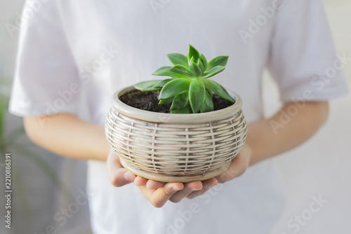 Shot of person wearing plain white t-shirt, gently holding a green succulent plant in textured ceramic pot with both hands, Close-up