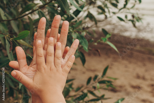 Child and adult hands compared against nature background