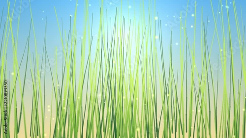 Lush Spring Meadow Grass and Glowing Fireflies, Seamless Loop 4K