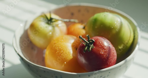 Yellow, green and red tomato in a light blue speckled bowl. Tomatoes sprinkled with water. Agricultural industry and farming.