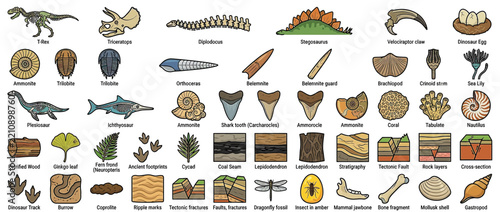 Dinosaur and Fossil Collection Isolated on Transparent Background