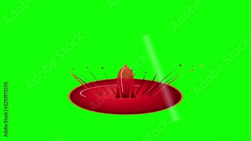 Red Liquid Splash Animation Effect on Chroma Key Green Screen