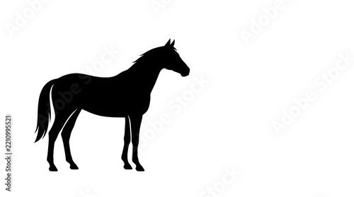 Black Horse Silhouette On White