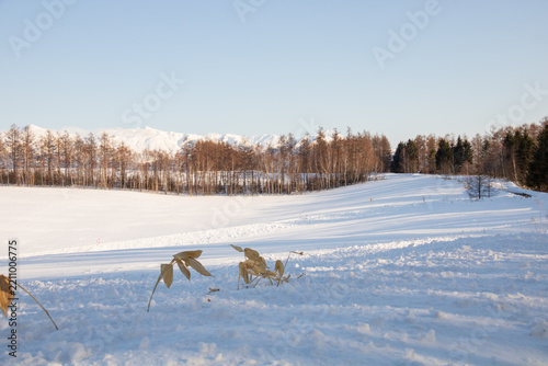 冬の晴れた日の雪原と山並み

