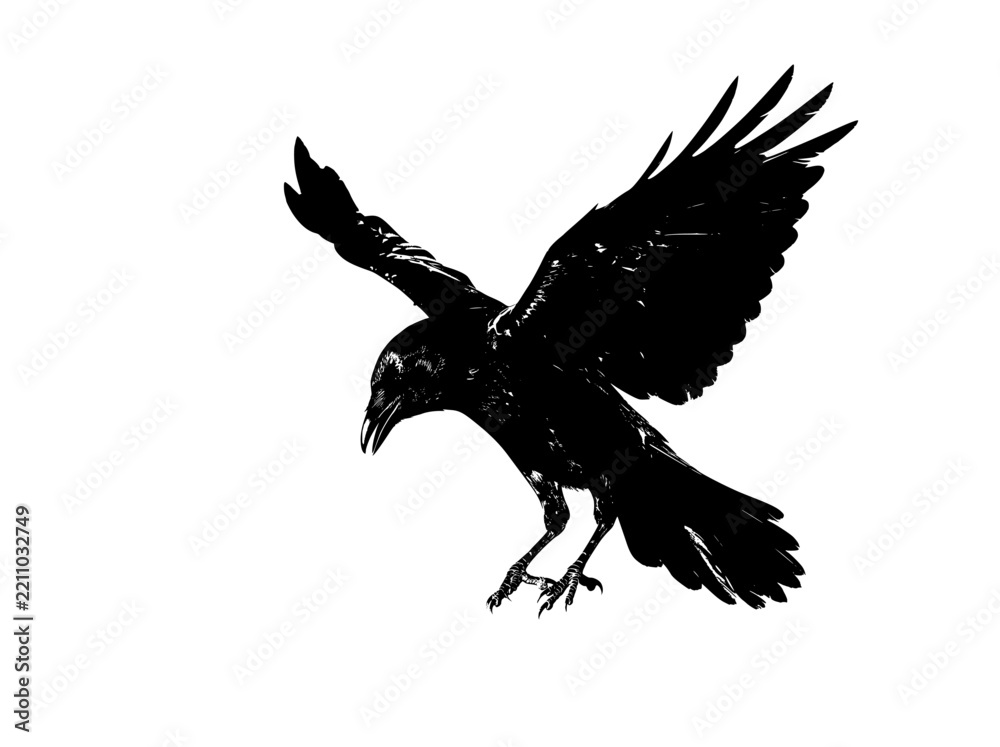 Fototapeta premium Black raven in flight silhouette graphic, flying crow bird vector icon, gothic raven art illustration for halloween design