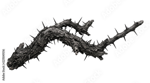 Old gnarled black thorny branch isolated on transparent background