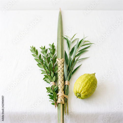 Sukkot lulav and etrog bundle with citrus fruit on neutral background