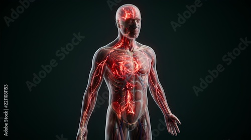 Frontal view of human anatomy with internal pain inflammation.