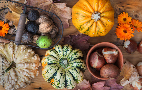 top view on rustic autumn harvest with pumpkins, little squash and decorative...