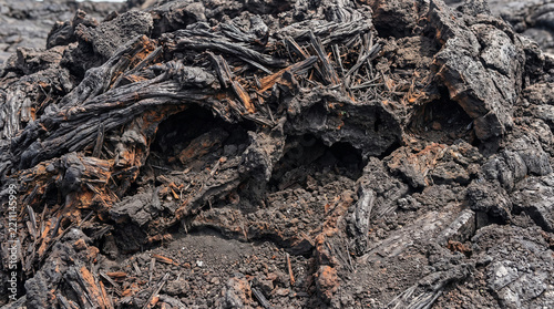 Hardened black volcanic lava rock texture with charred organic debris