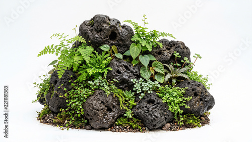 Rock formation covered with green moss and ferns