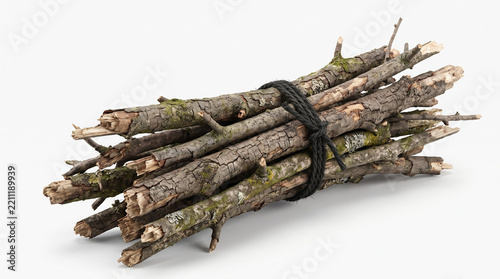 Bundle of Dry Firewood Branches Tied with Black Rope Rustic Twig Kindling Faggot