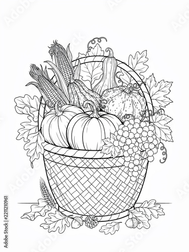 Thanksgiving harvest basket with pumpkins and corn line art