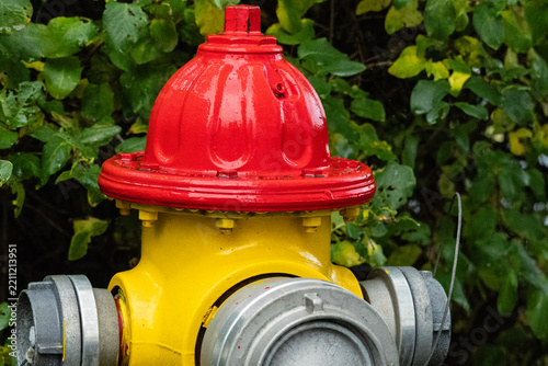 Fotografie red fire hydrant in reykjavik