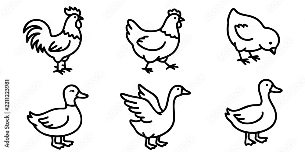 Fototapeta premium Set of farm birds in outline style, including rooster, hen, chick, duck, and goose for graphic design