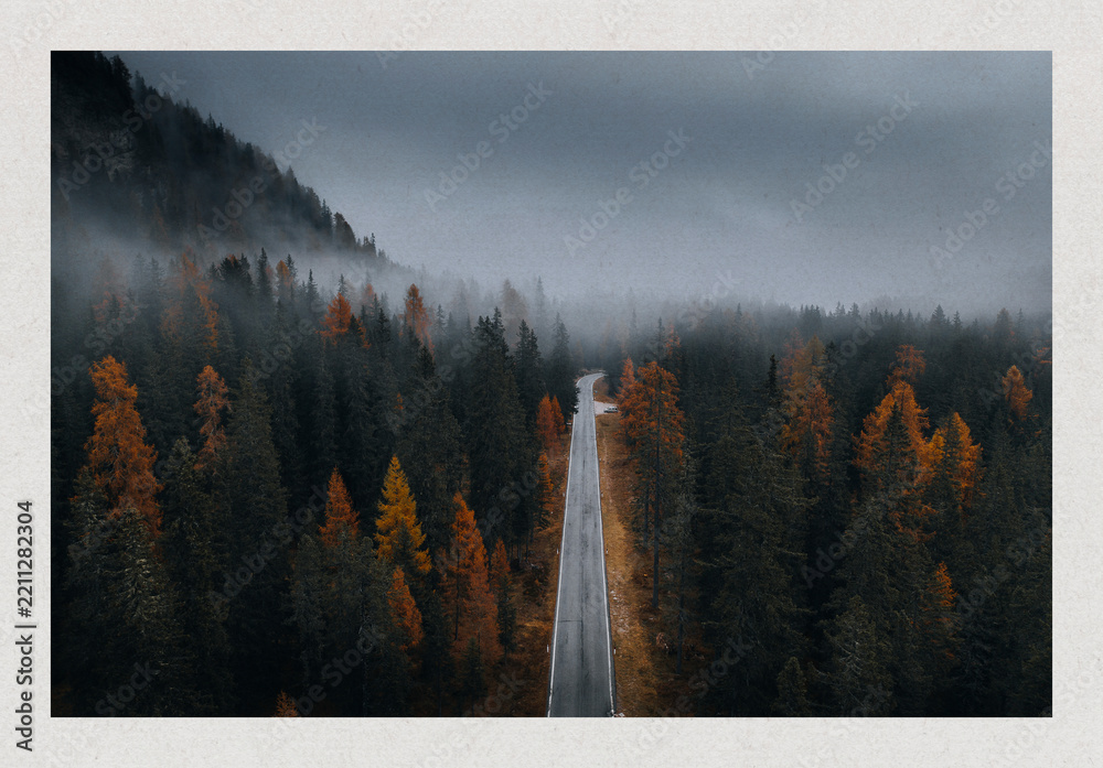 Obraz premium Misty forest road with autumn trees and foggy atmosphere poster design