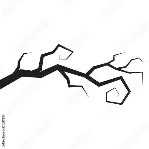Spooky Tree Branches