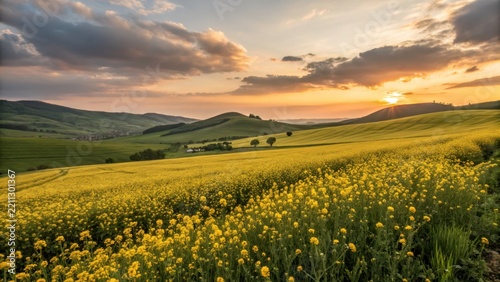 Vast field of vibrant golden flowers beneath a dramatic sunset sky with rolling hills