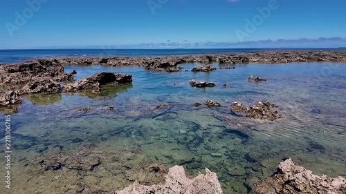 透明度が高いので魚影がはっきり見える熱帯魚の家