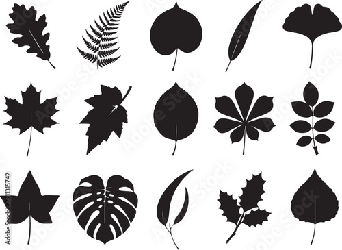 Set of various black leaf silhouettes, botanical collection of different tree and plant foliage shapes