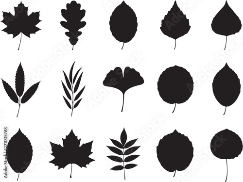 Set of various tree leaves silhouettes