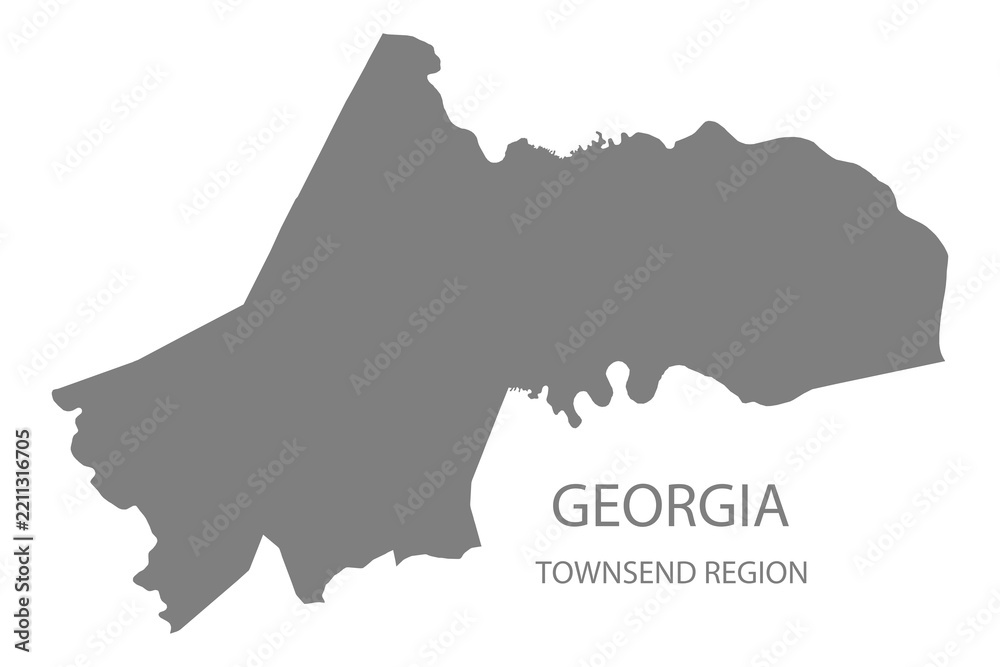 Fototapeta premium Townsend Region Map, Georgia, USA