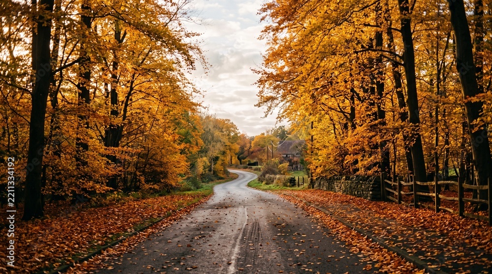 Fototapeta premium Winding Country Road Passing Through Golden Autumn Forest Trees Landscape
