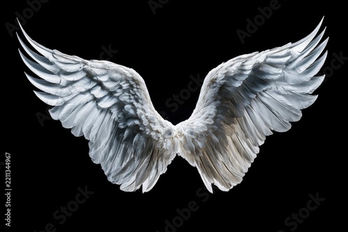 White feathered wings opening against a black background in a sharp studio macro shot for spiritual branding and cinematic poster design