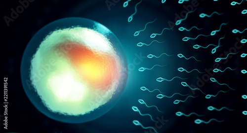 Microscopic human egg cell surrounded by active moving sperm cells attempting fertilization on an abstract medical scientific digital background.