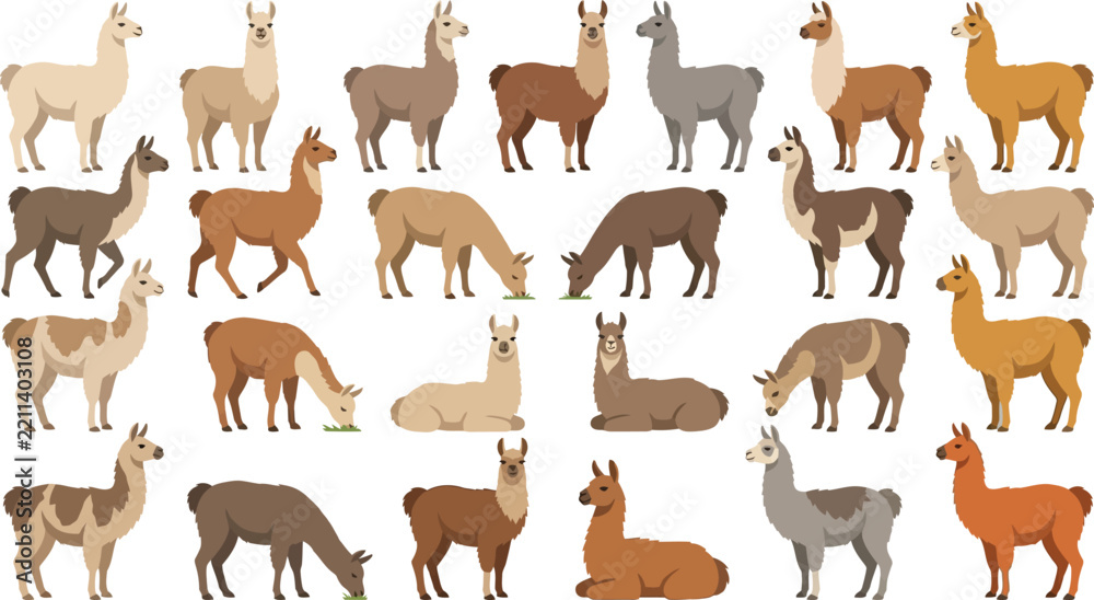 Obraz premium Llamas in various poses and colors during a bright day in a vector illustration style