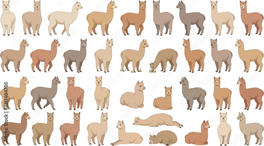 Obraz premium Various Alpaca Poses and Colors in Simple Flat Vector Illustration