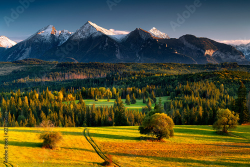 Natural landscape of autumn fields with trees and snow-capped mountain peaks in the background, Tatra Mountains, Łapszanka Pass, Poland.