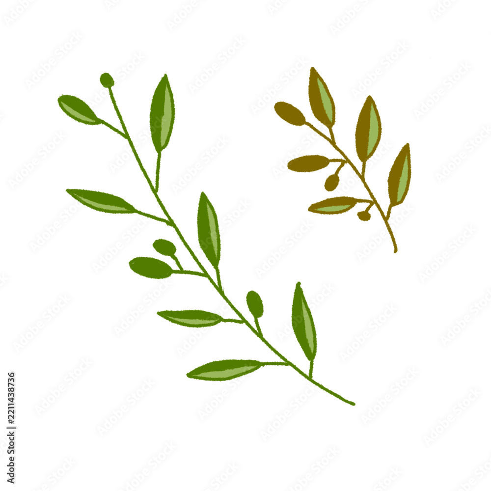 Fototapeta premium Set of hand drawn olive branches with leaves and fruits isolated on white background