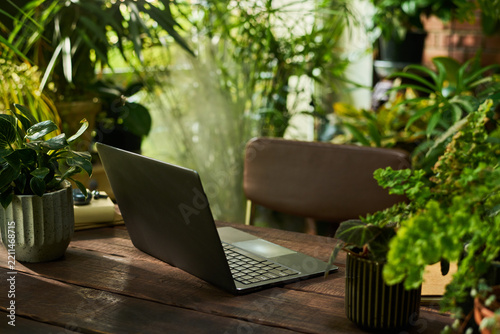 Open laptop standing on wooden table surrounded by green house plants symbolizing remote working and biophilic workspace design, suitable for digital nomad lifestyle advertising