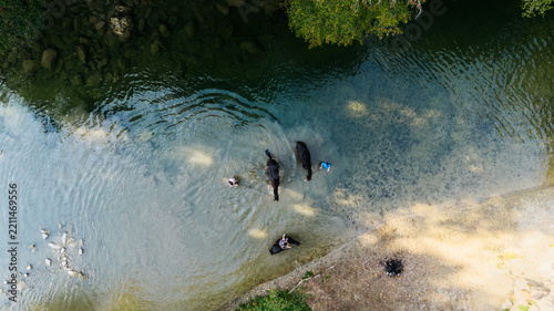 Aerial Drone View of People and Horses in Crystal Clear River