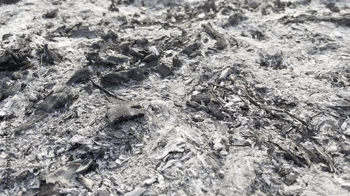 Burnt ground covered in ash after wildfire environmental destruction concept