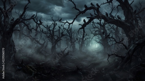 an eerie forest filled with twisted, dead trees and massive, gnarled branches