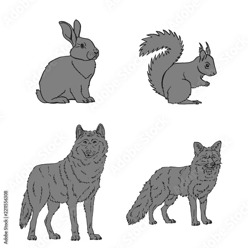 Woodland animal line art collection, hand drawn forest wildlife vector set