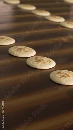Close up video of raw batter portions for pancakes cookies moving in rows on a conveyor belt. Food manufacturing mass production process in a commercial bakery factory. Shallow depth of field