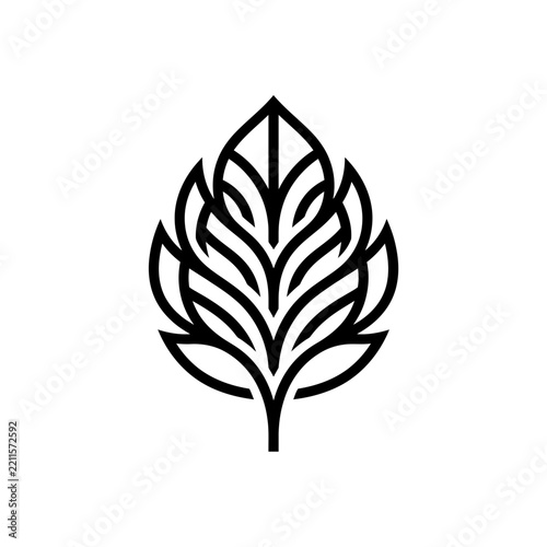 Stylized Geometric Leaf and Feather Line Art Illustration Vector