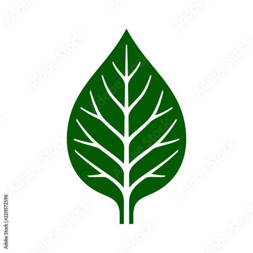 Stylized Green Leaf Vector Illustration with Detailed White Veins Isolated