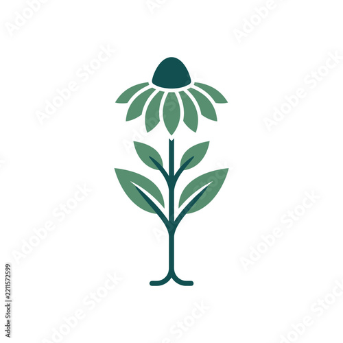 Stylized Minimalist Coneflower Botanical Illustration in Green and Teal Tones