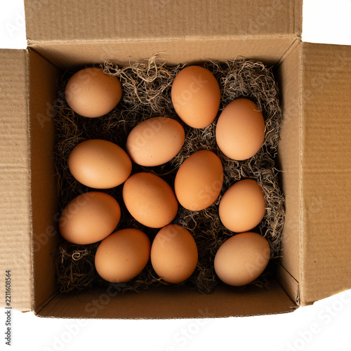 Plain, biodegradable, recyclable packaging concept.  Brown, paper box with natural, soft, clean, moss, padded protection for brown, organic eggs.