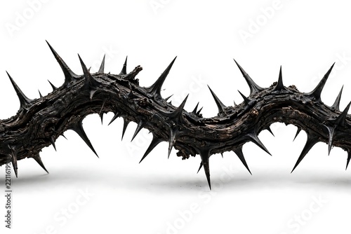 A dark twisted branch covered in sharp thorns isolated against a white background