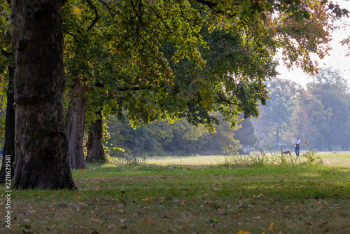 autumn in the park