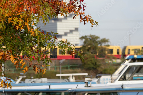 autumn in the city