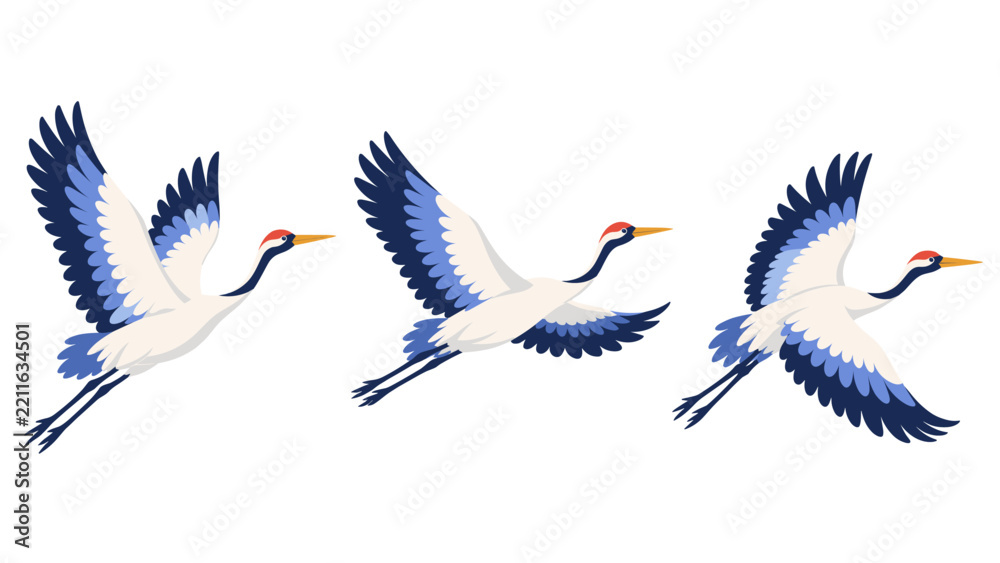 Fototapeta premium Flying cranes shown in three wing positions